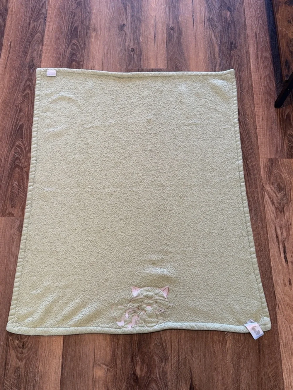 Carter's Olive Green Plush Baby Blanket with raccoon